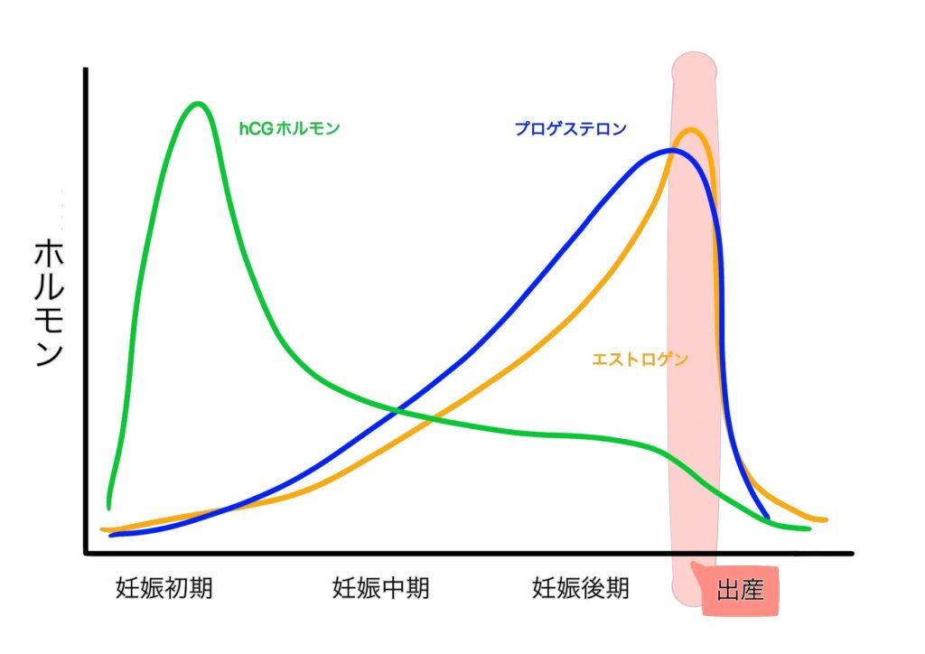 妊娠前後での女性ホルモンの変化