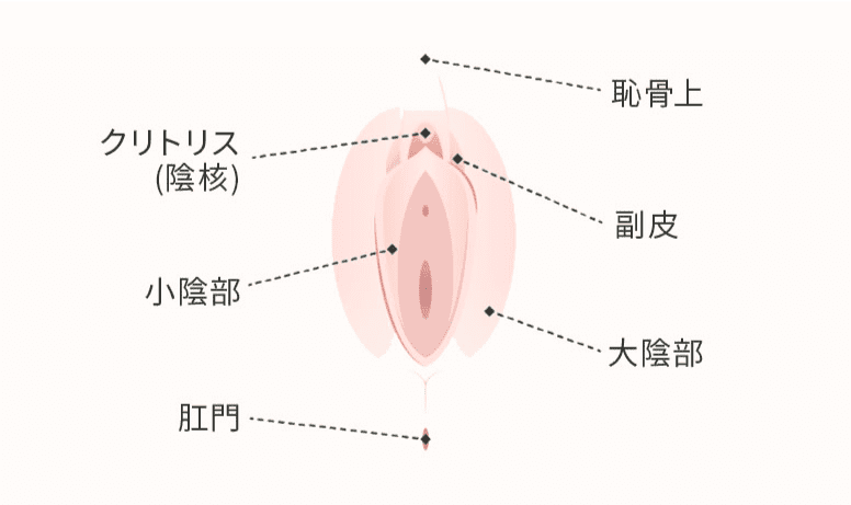 女性器の悩み