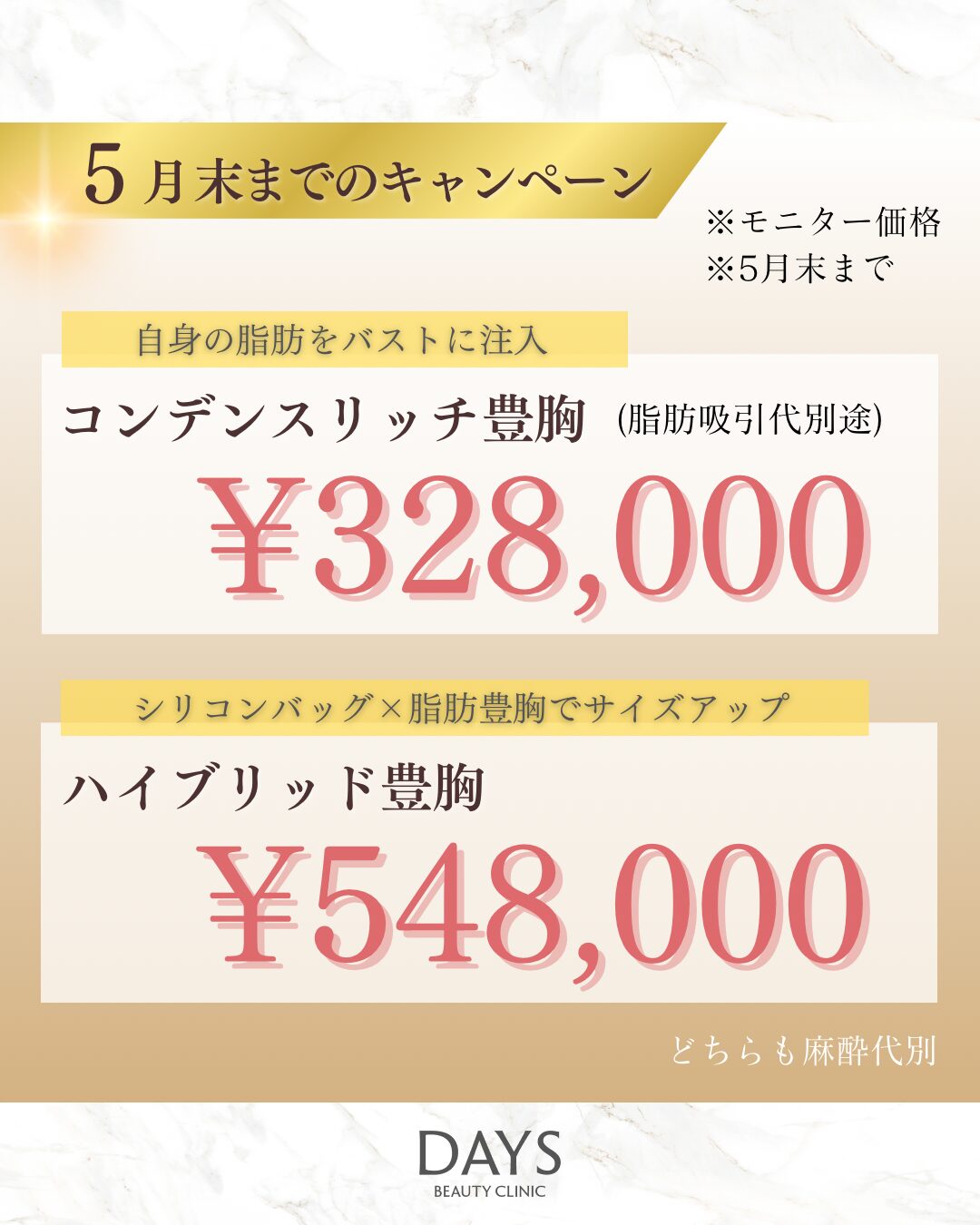 コンデンス・ハイブリット豊胸　比嘉2605